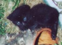 <img200*0:stuff/BBE.jpg>