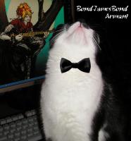 <img0*200:stuff/BJB%20A%20bowtie.jpg>