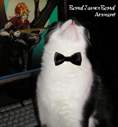 <img400*0:stuff/BJB%20A%20bowtie.jpg>