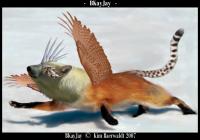 <img200*0:stuff/BKJ1.jpg>