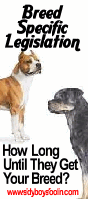 <img:stuff/BSL_How_Long_Till_They_Come_For_Your_Dog.gif>