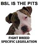 <img:stuff/BSL_is_the_Pits.jpg>