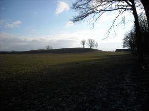 <img300*0:stuff/Back_home%21.jpg>