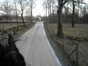 <img300*0:stuff/Back_up_on_a_new_road..jpg>