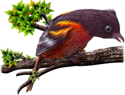 <img:stuff/BaltOriole250_rev.png>