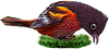 <img:stuff/BaltOriole4-100_rev.png>