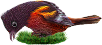 <img:stuff/BaltOriole4-200.png>