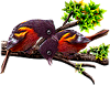 <img:stuff/BaltOrioles-100.png>