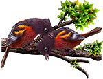 <img:stuff/BaltOrioles-150.png>