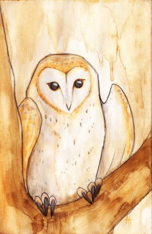 <img500*766:stuff/Barnowl.jpg>