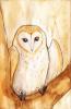 Barnowl