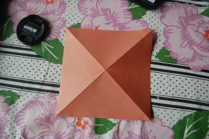 <img300*200:stuff/Bbird_base_step_three%3a.jpg>