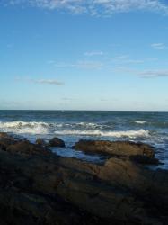 <img0*250:stuff/BeachScape_1.jpg>