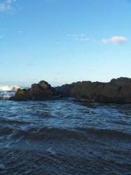 <img0*250:stuff/BeachScape_3.jpg>