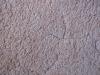 <img100*0:stuff/Beige_Carpet.jpg>