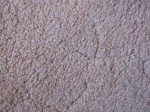 <img300*0:stuff/Beige_Carpet.jpg>