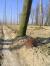 <img50*0:http://elftown.heddate.com/stuff/Belgium-Hops.jpg>