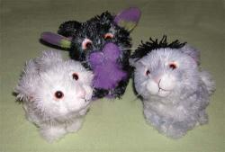 <img250*0:stuff/Beltaine%201.jpg>