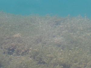 <img300*0:stuff/Beneath_the_Surface.jpg>