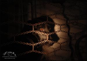 <img300*0:stuff/Bild%20004.jpg>