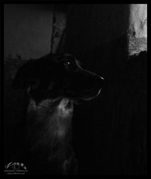 <img300*0:stuff/Bild%20050.jpg>
