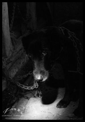 <img300*0:stuff/Bild%20068.jpg>