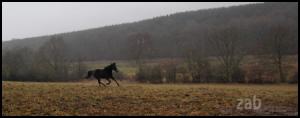 <img300*0:stuff/Bild%2022.jpg>