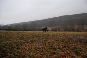 <img300*0:stuff/Bild%20222.jpg>