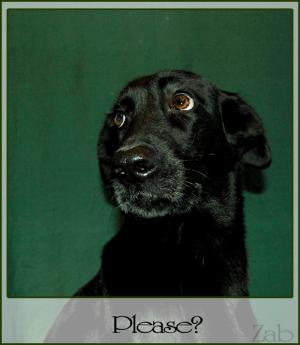 <img300*0:stuff/Bild%20384.jpg>