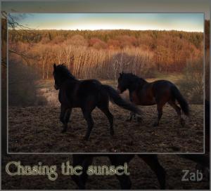 <img300*0:stuff/Bild%20628.jpg>