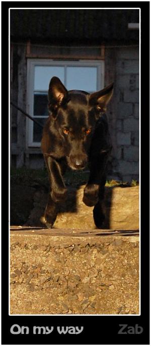 <img300*0:stuff/Bild%20700.jpg>