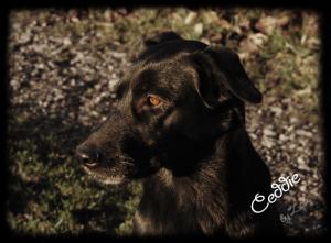 <img300*0:stuff/Bild%20705.jpg>