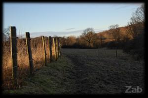 <img300*0:stuff/Bild%20708.jpg>