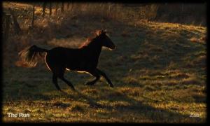 <img300*0:stuff/Bild%20745.jpg>