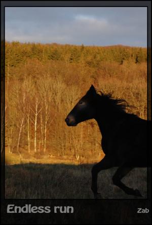 <img300*0:stuff/Bild%20780.jpg>