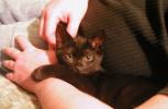 <img0*100:stuff/Bill%20%26%20C~C%201a.jpg>