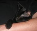 <img0*100:stuff/Bill%20%26%20C~C%203a.jpg>