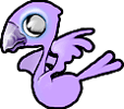 <img:stuff/Bird4.gif>