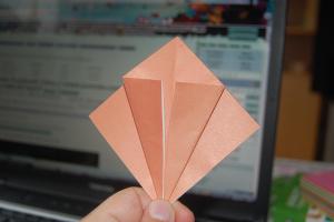 <img300*200:stuff/Bird_base_step_eight%3a.jpg>