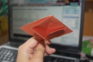 <img300*200:stuff/Bird_base_step_eight..jpg>