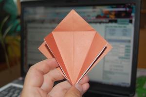 <img300*200:stuff/Bird_base_step_eleven.jpg>