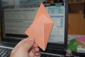 <img300*200:stuff/Bird_base_step_fifteen%3a.jpg>