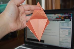 <img300*200:stuff/Bird_base_step_fifteen.jpg>