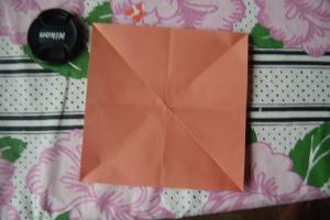 <img300*200:stuff/Bird_base_step_five%3a.jpg>
