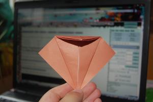 <img300*200:stuff/Bird_base_step_nine%3a.jpg>