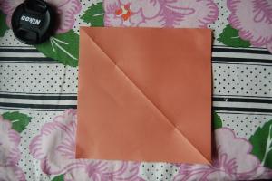 <img300*200:stuff/Bird_base_step_one%3a.jpg>