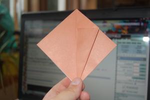 <img300*200:stuff/Bird_base_step_seven%3a.jpg>