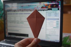 <img300*200:stuff/Bird_base_step_seventeen%3a.jpg>