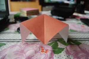 <img300*200:stuff/Bird_base_step_six%3a.jpg>