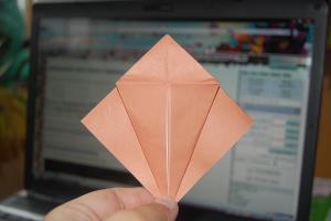 <img300*200:stuff/Bird_base_step_ten%3a.jpg>